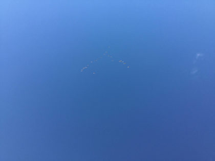 お問い合わせについて