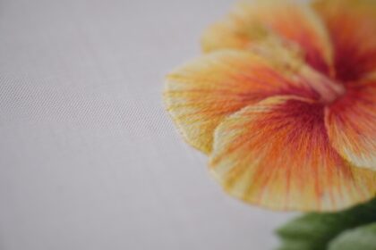 RSN シルクシェーディング