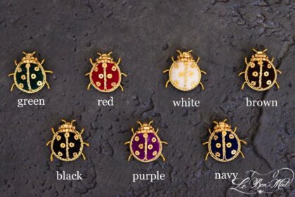 「てんとう虫ブローチ」ワークショップ