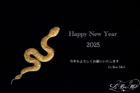 Happy New Year 2025